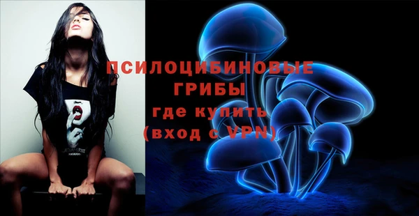 дурь Грязи