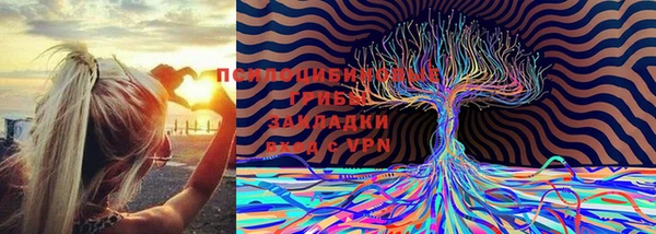 прущая мука Приозерск