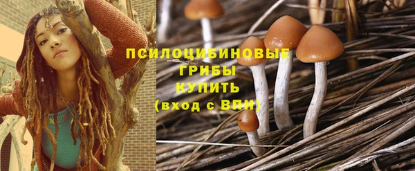 прущая мука Приозерск