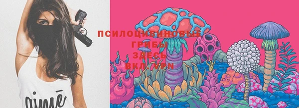 прущая мука Приозерск