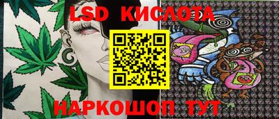 ПСИЛОЦИБИНОВЫЕ ГРИБЫ Ирбит