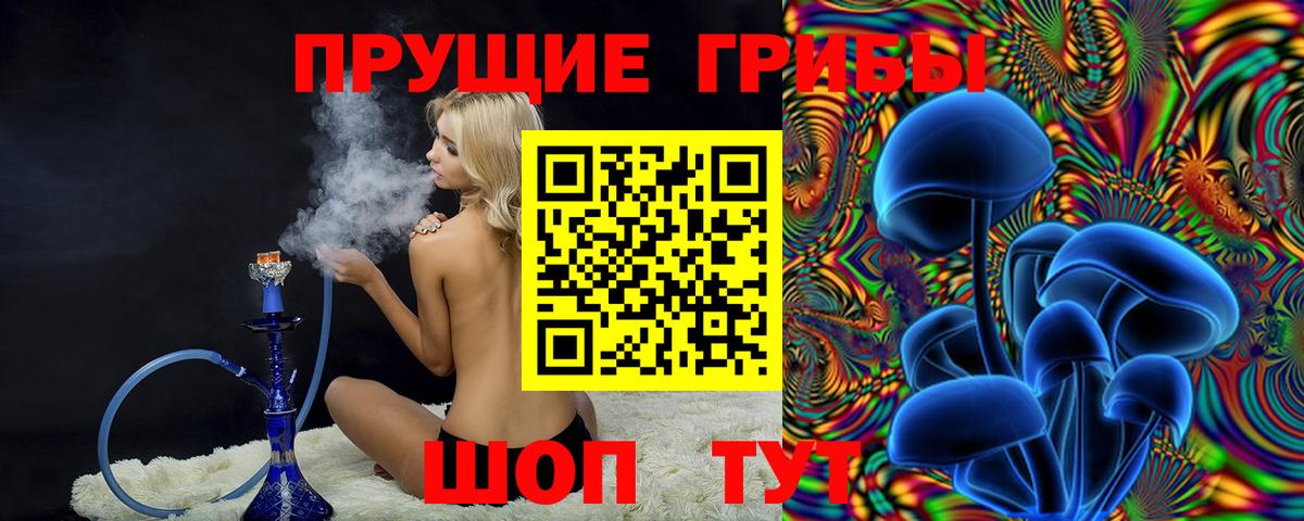 Сокол  Псилоцибиновые грибы MAGIC MUSHROOMS  Вход с VPN  Галлюциногенные грибы Cubensis 